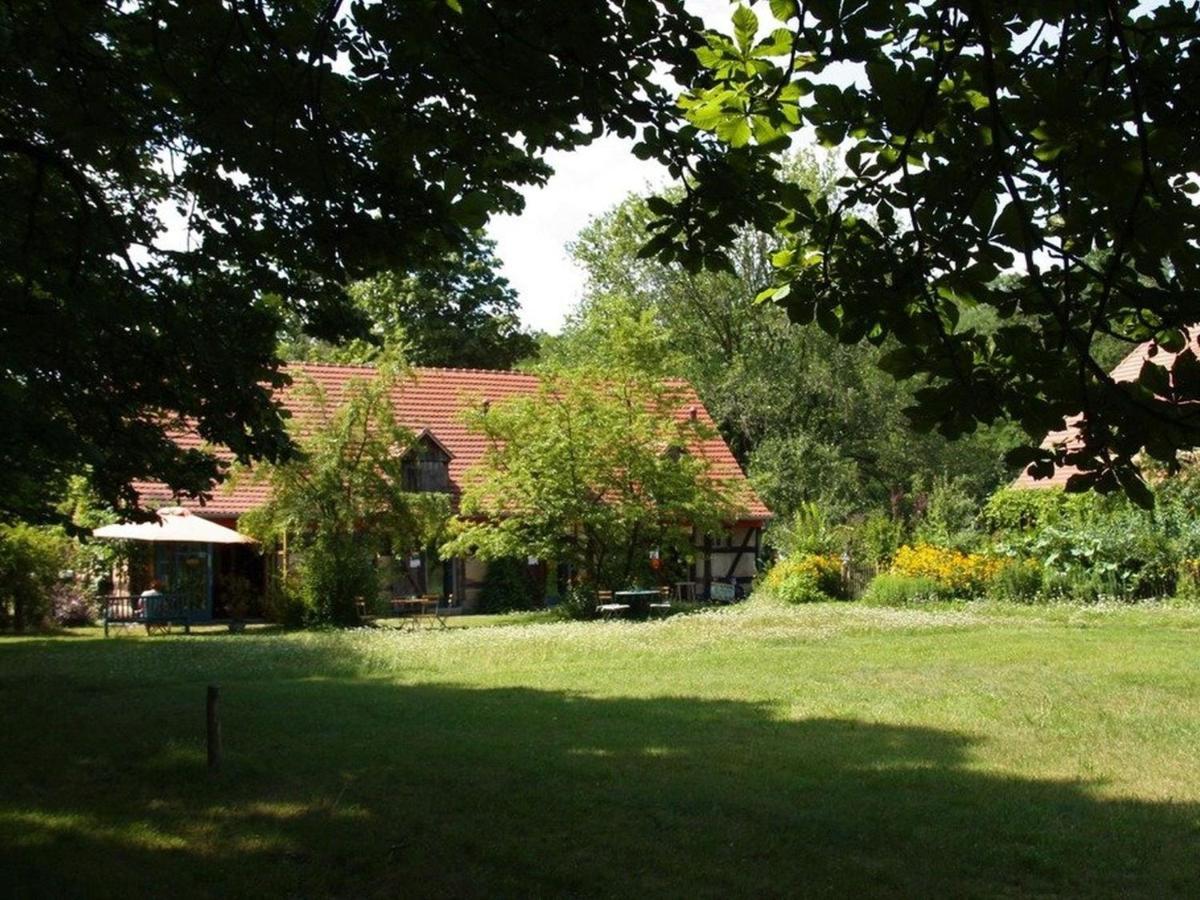 Ferienwohnung Am Roten Schloss Glashutte  Esterno foto